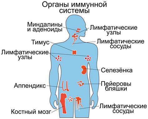 Автоиммунные заболевания