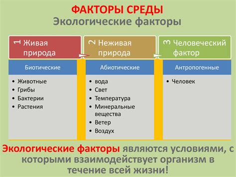 Агрессивные факторы окружающей среды и их влияние на кожу губ