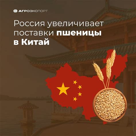 Агроэкспорт в Китай: крупнейший потребитель российской пищевой продукции