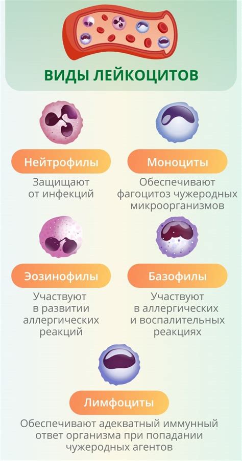 Аллергические реакции и повышение уровня нейтрофилов