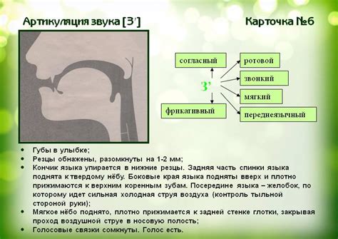 Артикуляционные нарушения и способы их диагностики