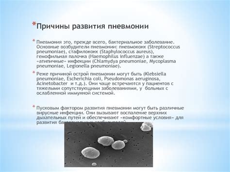 Бактериальное заболевание: определение и причины появления