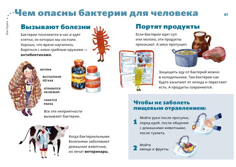 Бактерии, вредные вещества и аллергены