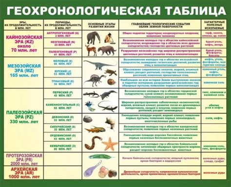 Биологические особенности паукового спуска и его механизмы