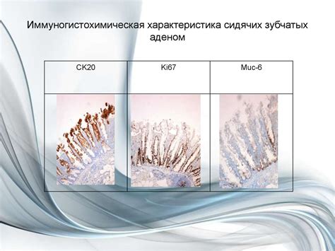 Биологические факторы и генетические особенности