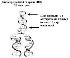 Биохимические исследования на клеточном уровне