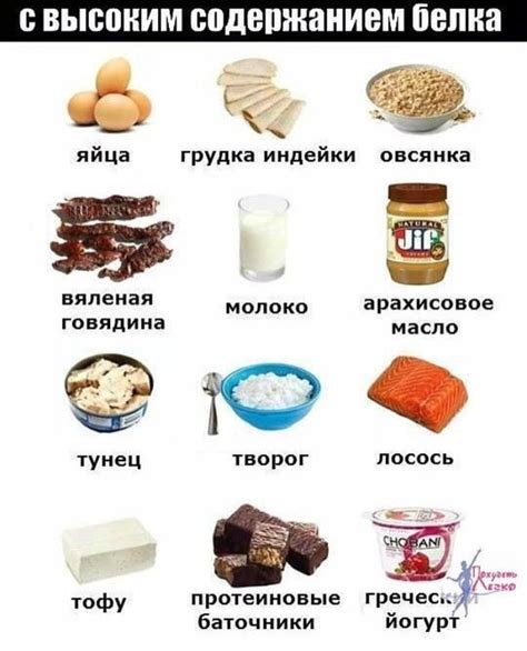 Богатые протеином продукты