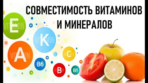 Богатый источник витаминов и минералов