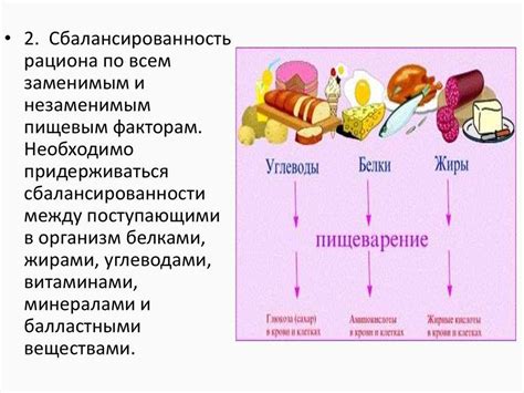 Богатый источник витаминов и питательных веществ