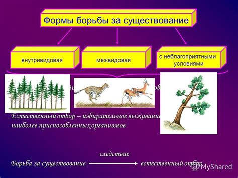 Борьба за выживание и отбор