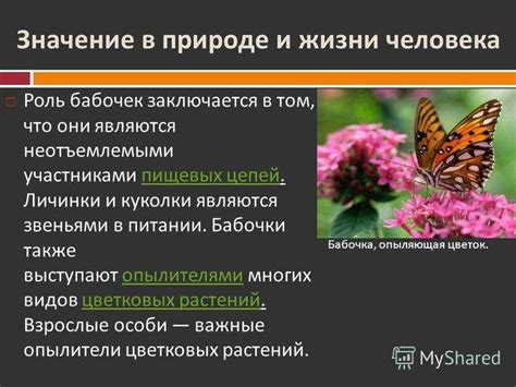 Важное значение для экосистемы