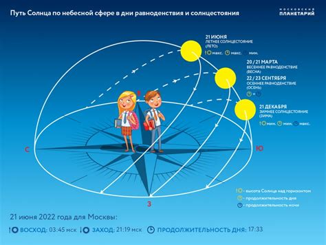 Важность летнего и зимнего солнцестояния для живых организмов