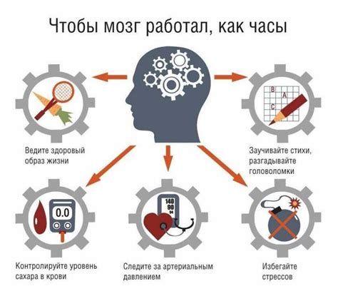 Важность поддержания нормального веса для здоровья сосудов головного мозга