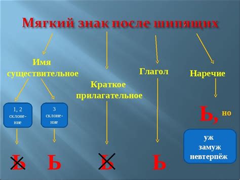 Важность правильного использования мягкого знака