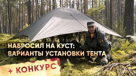 Важность правильного укрытия