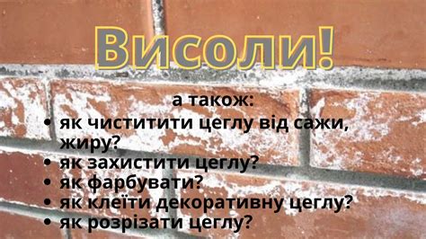 Важность правильного ухода за кирпичной кладкой для предотвращения проникновения влаги