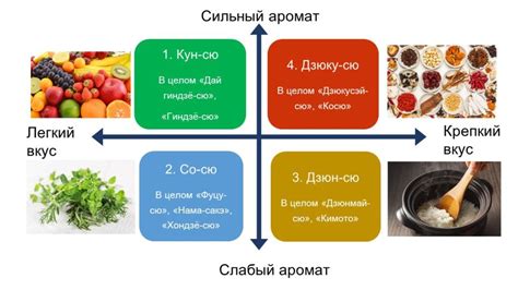 Важность приправ: игра вкусов и ароматов