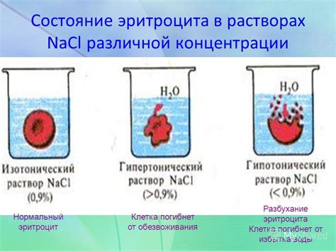 Важность процентной концентрации в растворах