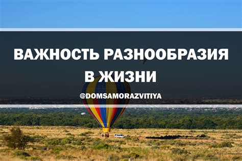 Важность разнообразия