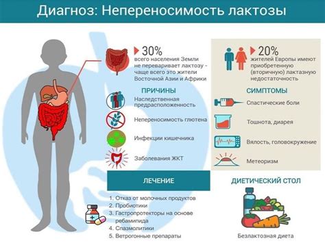 Важно помнить при непереносимости лактозы