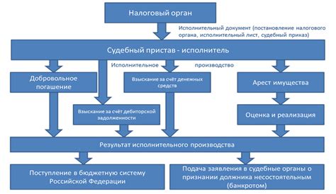 Важные аспекты при определении срока репатриации