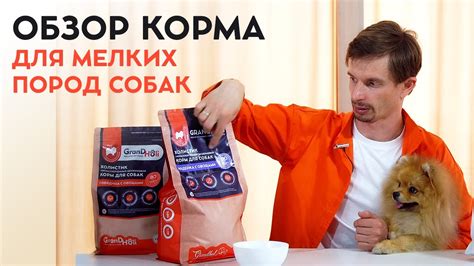 Важные компоненты холистика для собак мелких пород