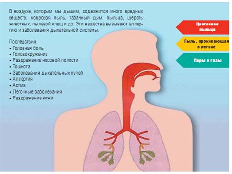 Важные последствия и осложнения при продолжительном поносе