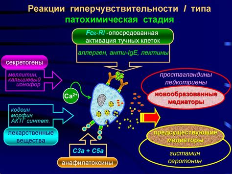 Вазогенный эффект: важный фактор в механизме развития мелкоочаговых изменений