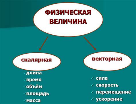 Векторные и скалярные величины: примеры