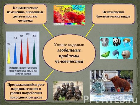 Взаимодействие человека и животного в обществе