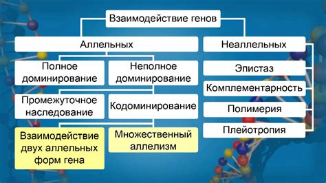 Взаимодействия генов