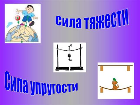 Взаимосвязь между весом тела и силой тяжести