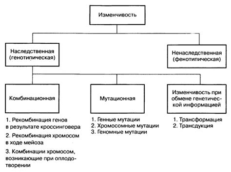 Виды изменчивости в биологии