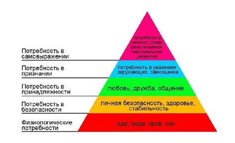 Виды потребностей в обществознании