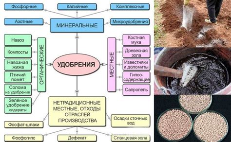 Виды удобрений для стимулирования цветения