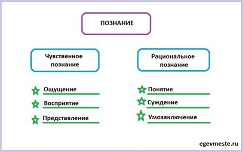 Виды чувственного познания