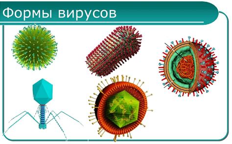 Вирусы и живые организмы: различия и особенности