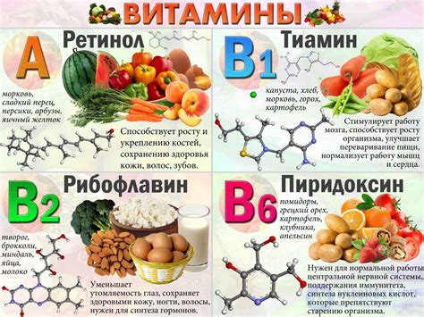 Виталиссим для организма