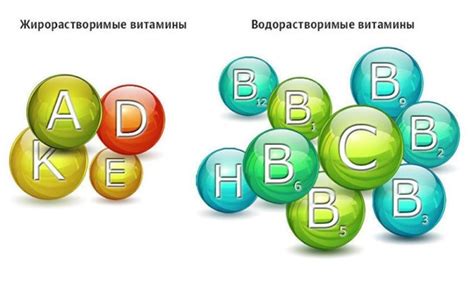 Витамины растворимые в воде: полезные свойства и где их можно получить