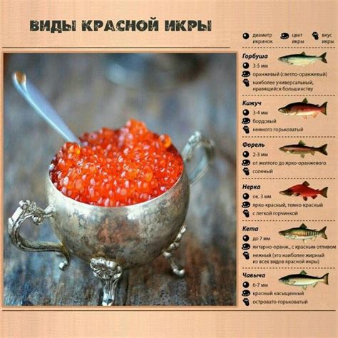 Вкусовые особенности кеты и нерки: что выбрать?