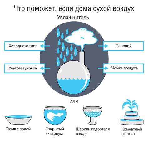 Влажность воздуха и сухие грибы: что общего?