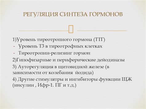 Влияние ТТГ гормона на рост и развитие