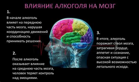 Влияние алкоголя на состояние сосудов головного мозга