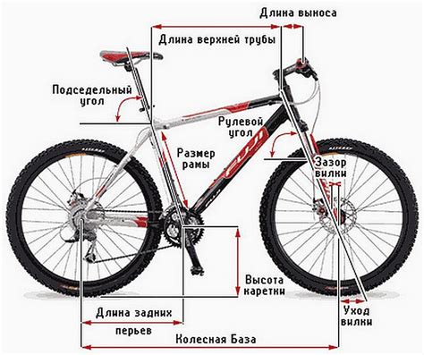 Влияние болтания колеса на велосипед