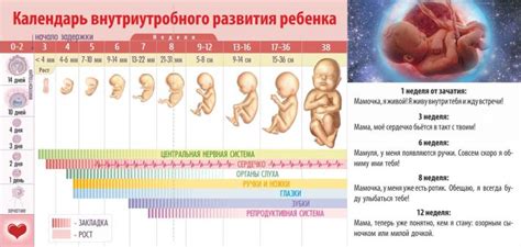 Влияние выбора первого месяца или дня на дату рождения