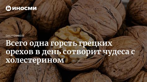 Влияние грецких орехов на уровень холестерина