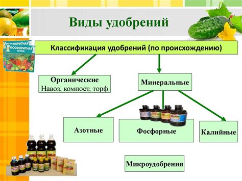 Влияние магния на рост и развитие растений