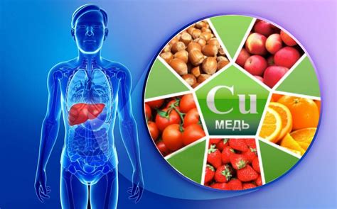 Влияние меди на организм: здоровье и функции
