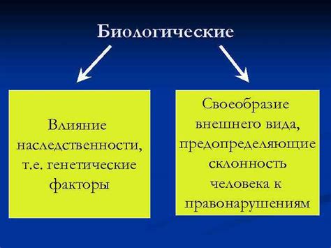 Влияние наследственности, психологические факторы, социокультурный контекст