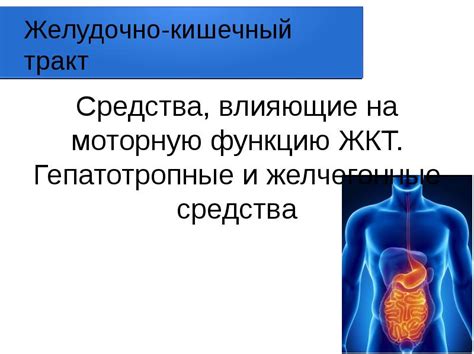 Влияние нервов и стресса на желудочно-кишечный тракт